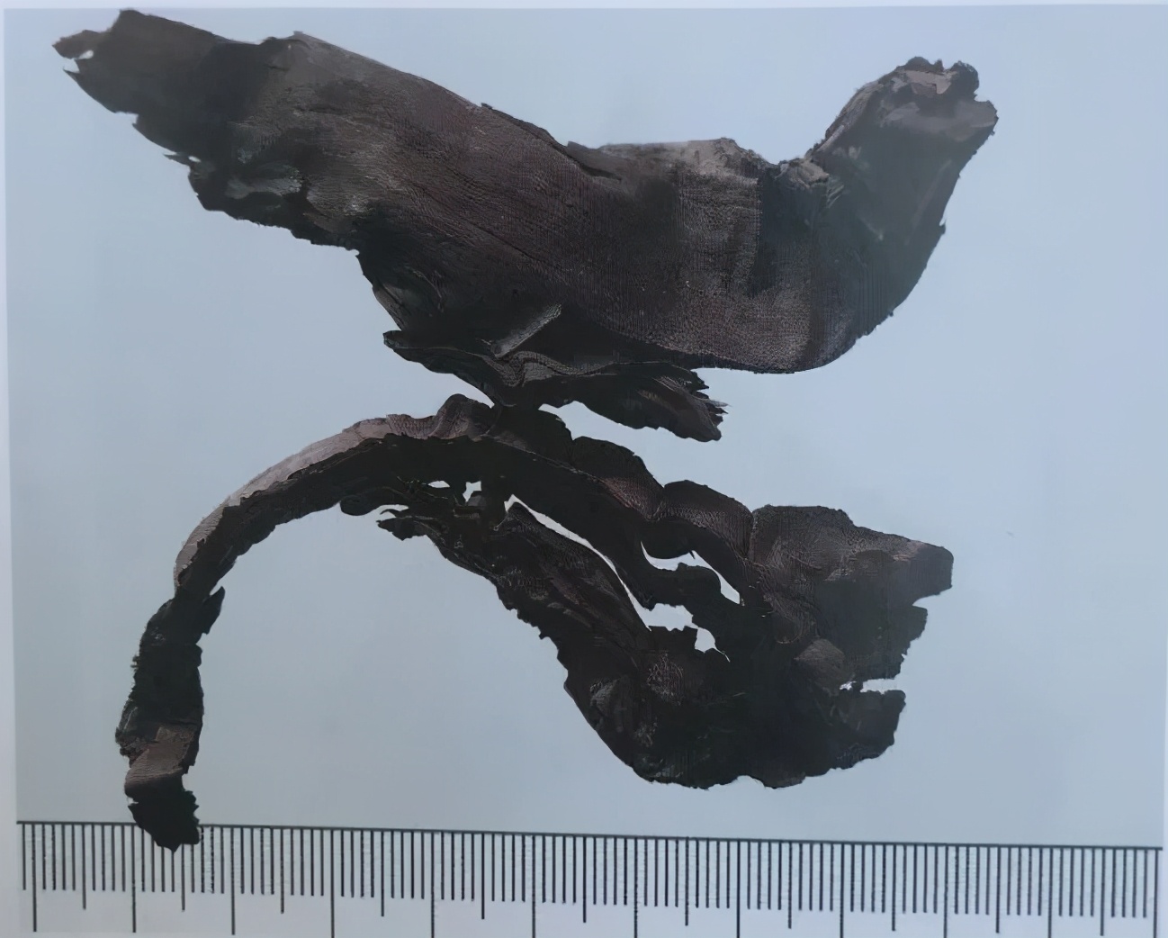 紫草中含哪些有效成分,紫草膏的紫草是什么样子