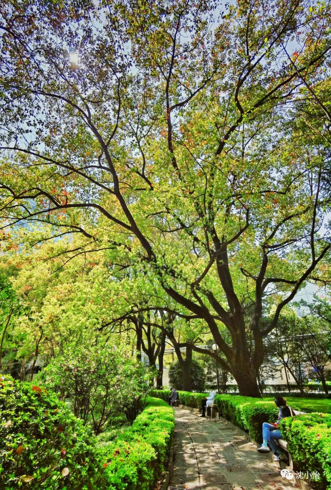 第二次距离死亡那么近,是一种什么样的体验?