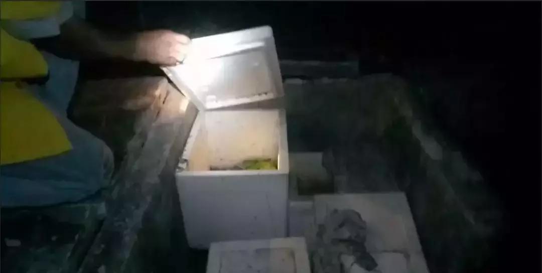 2010年泰国婴尸真实故事,泰国墓地婴儿被盗事件