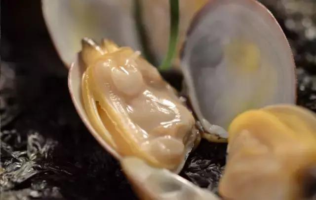 寿光羊口海鲜什么时间去合适,寿光羊口开海时间