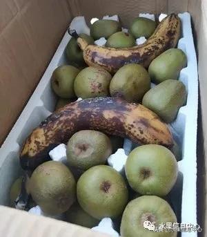 在网上买水果遇到假货怎么办,网上购买水果会被坑吗