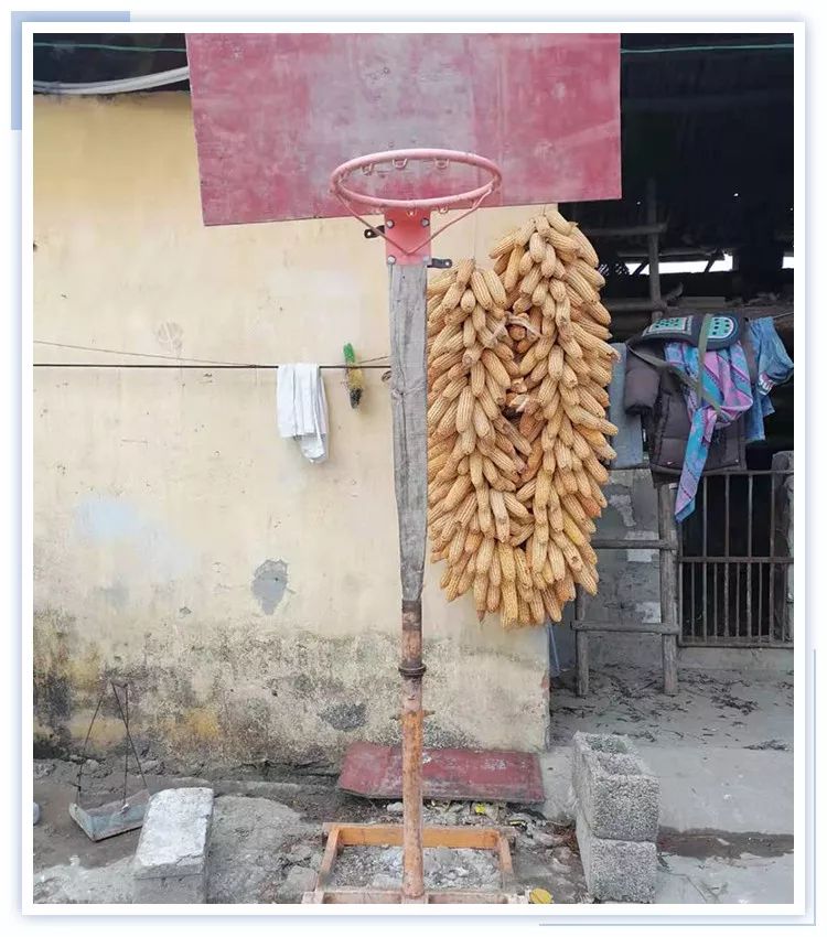 小篮球大梦想大篮球,小篮球大梦想大男孩的篮球梦