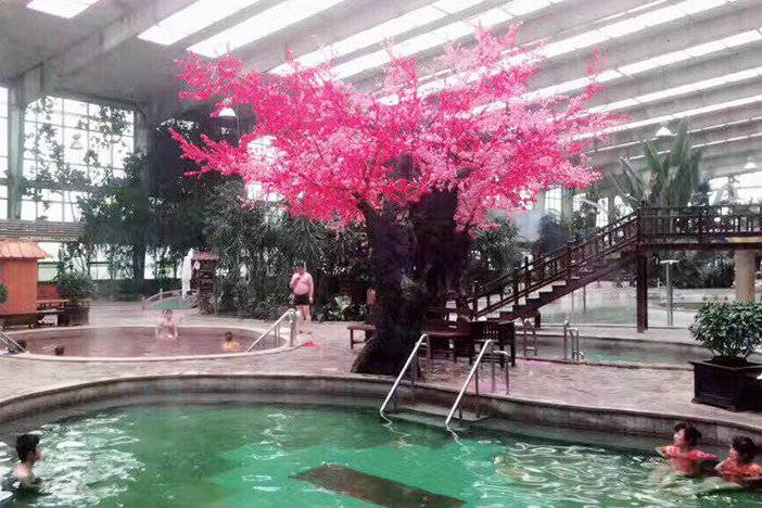 沈阳小韩村温泉私汤,沈阳小韩村温泉团购