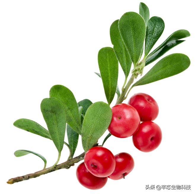 美白护肤品网红推荐,护肤淡斑美白大牌推荐