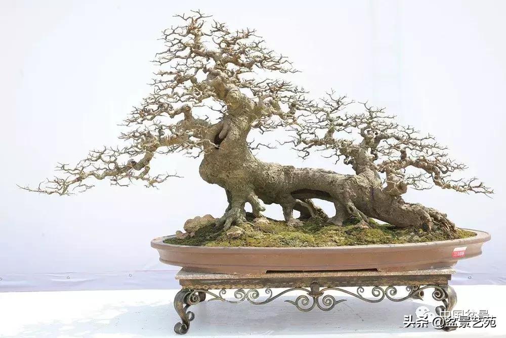 鏈存爲寰楀鐩嗘櫙,椤剁骇鏈存爲鐩嗘櫙娆ｈ祻