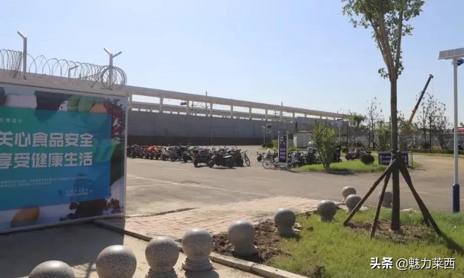 莱西路口抓拍,莱西动车站抓拍