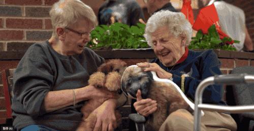 93岁奶奶恶搞27岁孙子,一夜爆红!1300万网友围观:奶奶太坑了