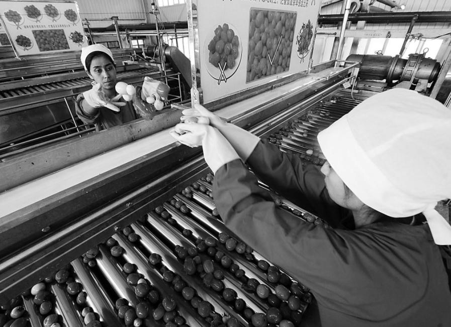 农村代加工有哪些生意好做,农村代加工致富项目有哪些