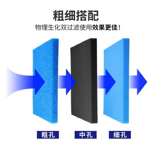 新手客厅鱼缸怎么养鱼,鱼缸养鱼新手入门教程