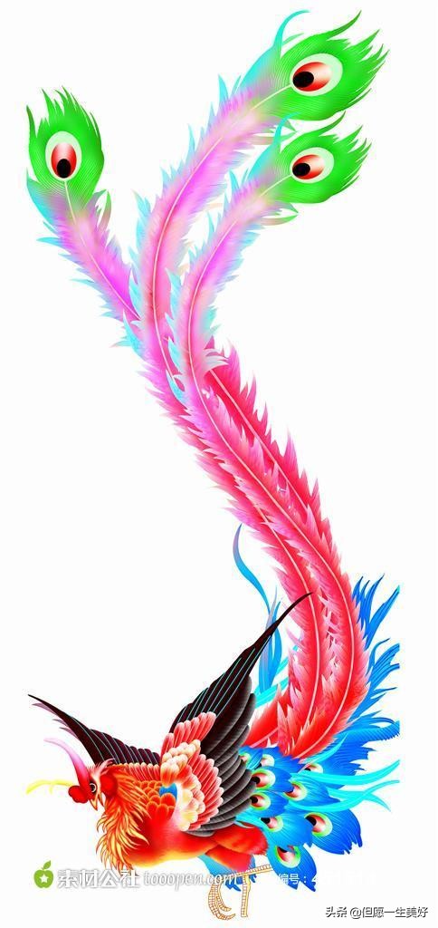 鍑ゅ嚢鏉ヤ华姘旀伅褰掑厓,鍑ゅ嚢鏉ヤ华鏄笓灞炵ぜ鐗╁悧