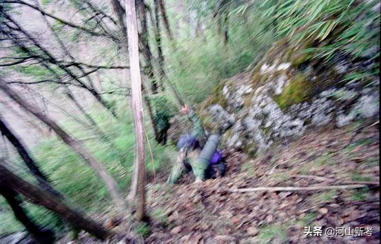 寻找野人的张金星现在如何,张金星神农架野人