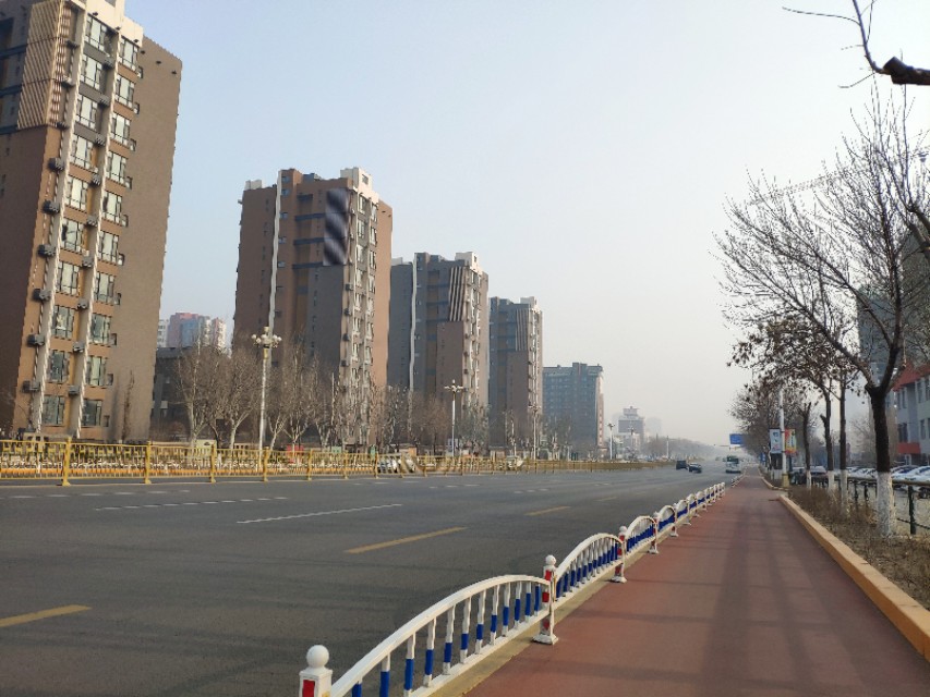 阳光跑者一路沿着向海大道跑串盘锦三个区,沿途风光无限好。