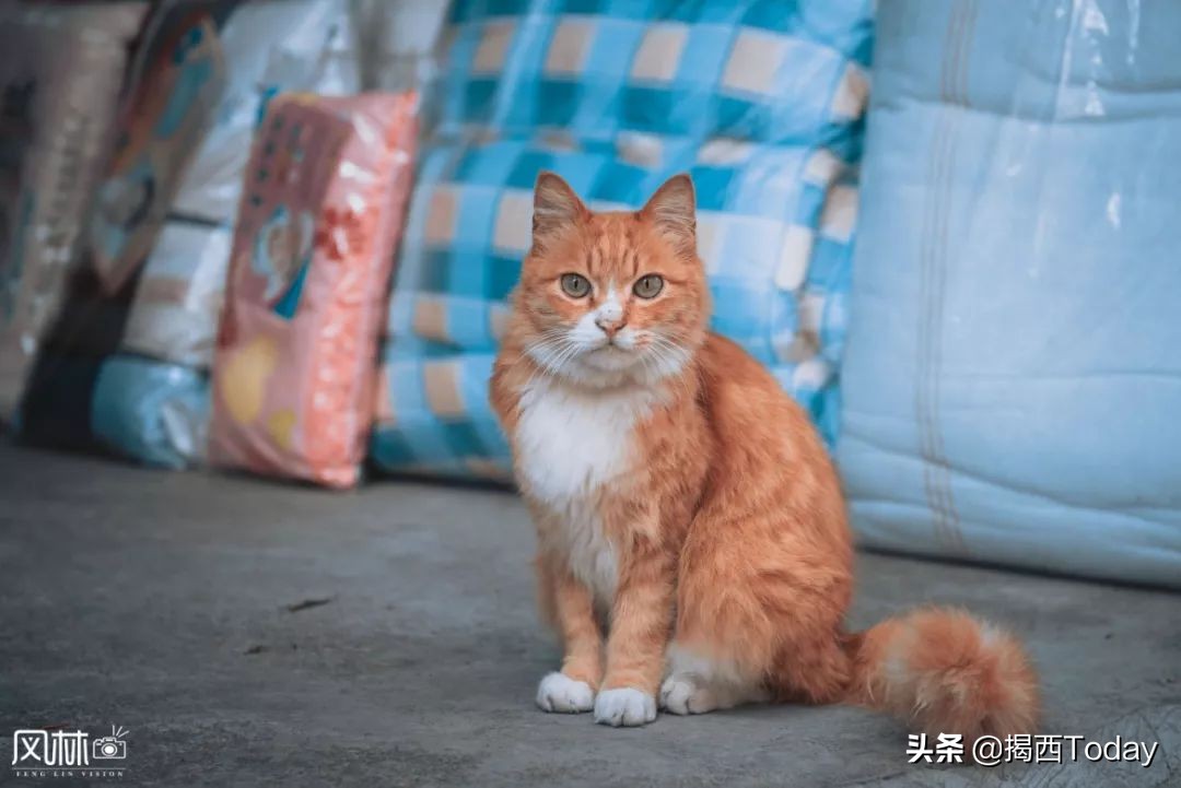 历经沧桑你依然是我最爱的人,历经沧桑的老街