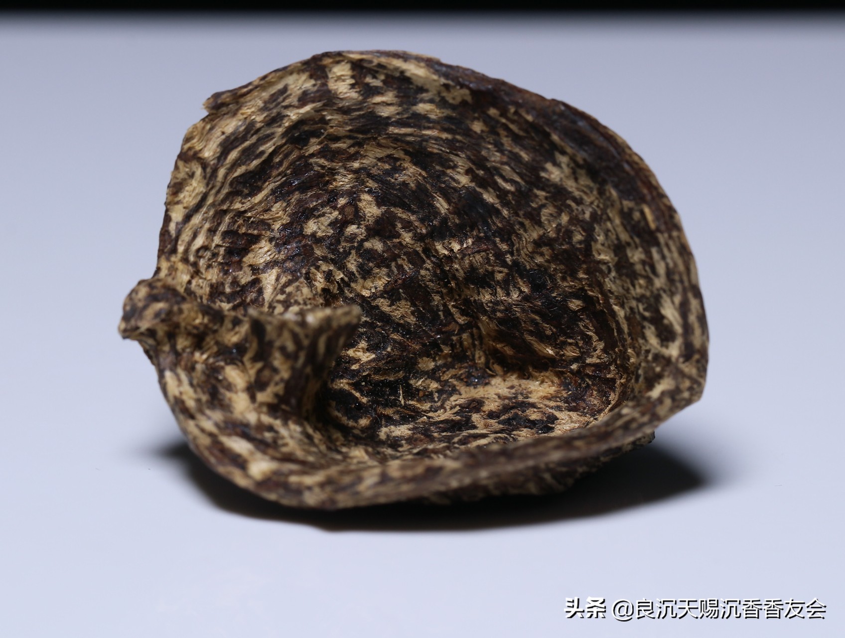 沉香虫漏香是什么原因,虫漏香真假区分