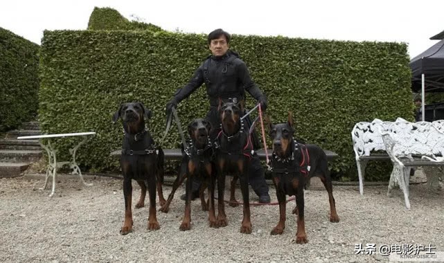 成龙吴京水门桥多少票房,十二生肖剧透成龙