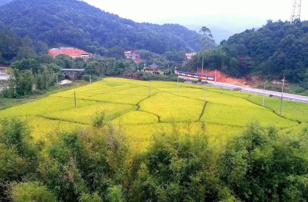 惠东忘山居民宿,惠东特色亲子民宿有哪些