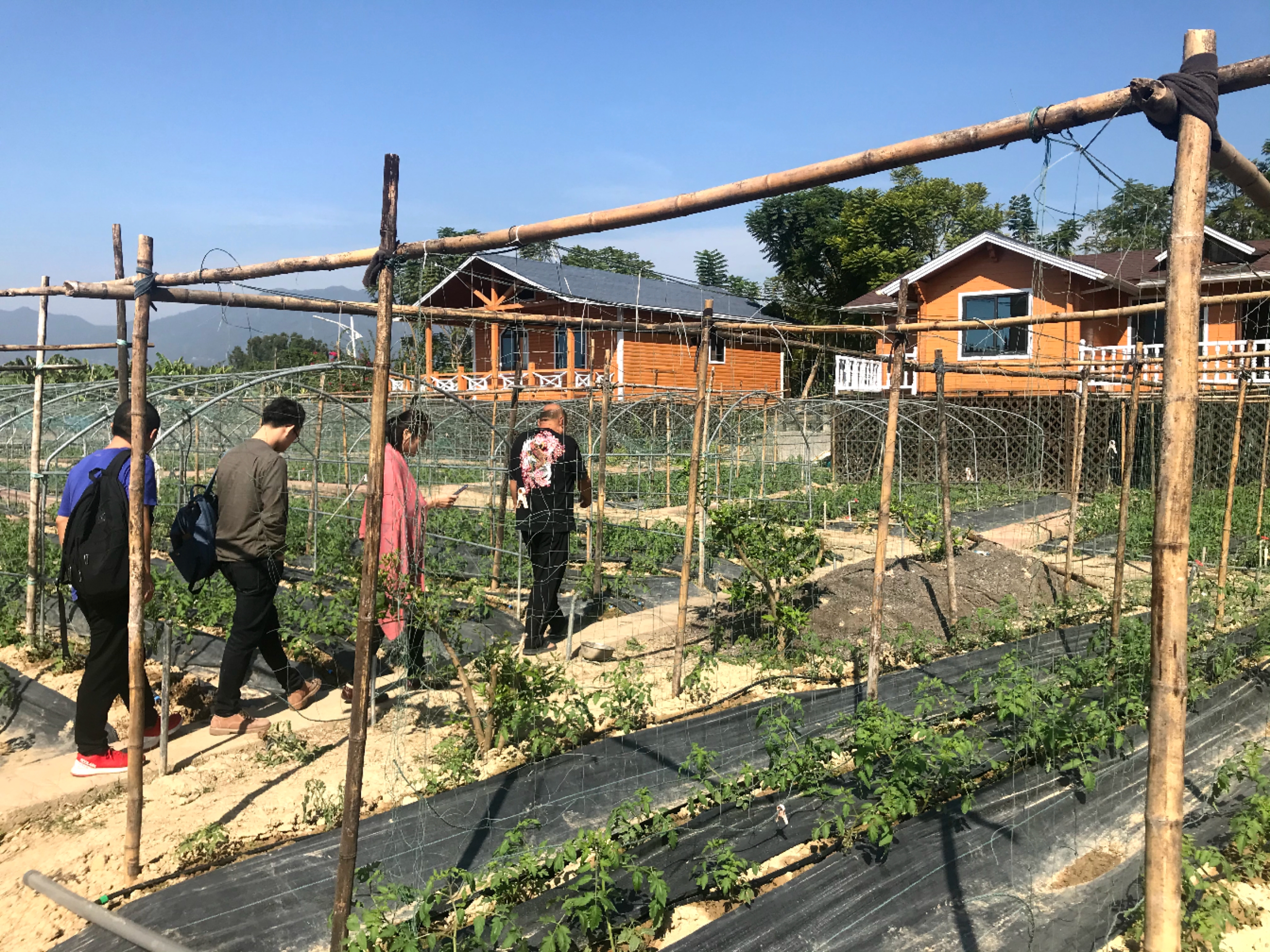 在闽台商台胞热议《意见》,台胞台企点赞农林22条措施