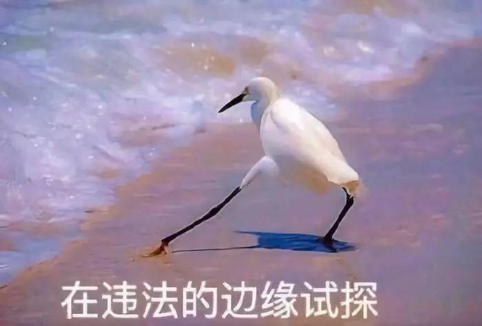 当我们“薅羊毛”,我们薅的是什么…