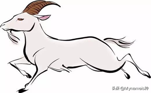 属相天命,十二属相的解析与分析