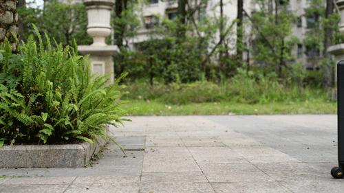 鏀惧績鍚▼,鏀惧績鍑哄彂