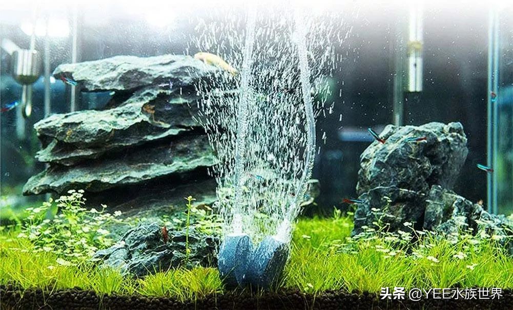 氧气泵太吵从这几点入手效果明显,鱼缸氧气泵太吵怎么解决
