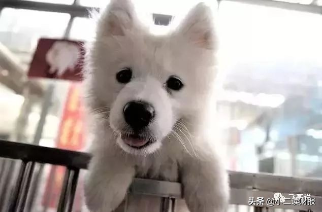 四川成都各大批发市场值得收藏