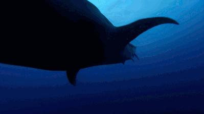 比马尔代夫还便宜的海岛,比马尔代夫更美的岛游