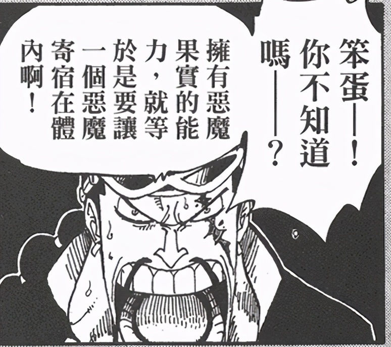 剧情分析海贼王,海贼王剧情解析最新