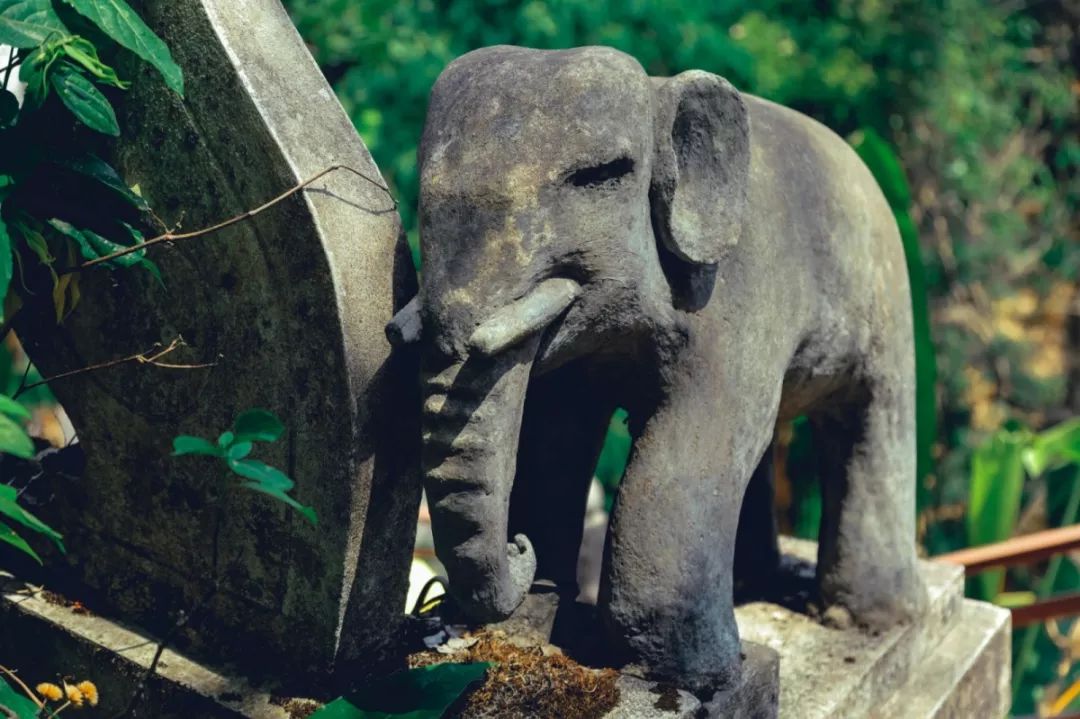 成都户外：当生活一塌糊涂的时候，就去清迈找回最初的自己吧