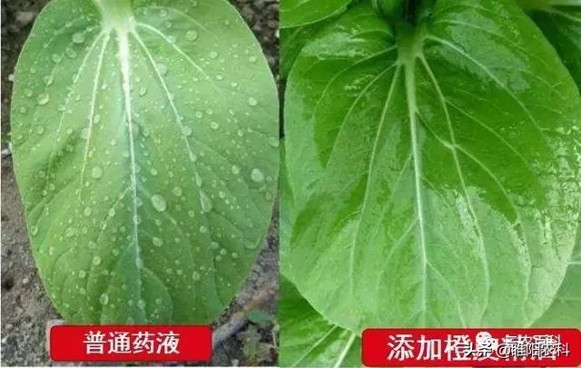 又一个新型农药增效剂上市，农药中加上一点，药效能提高1～3倍