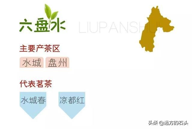 十大名茶贵州哪个茶上榜,贵州好喝的茶叶有哪些