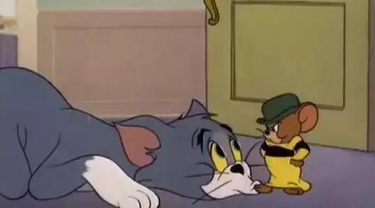 猫和老鼠中的白富美猫，汤姆就没追到过她，因为竞争对手很厉害