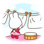 知文化|六月六全民洗晒日？你那里晒什么？