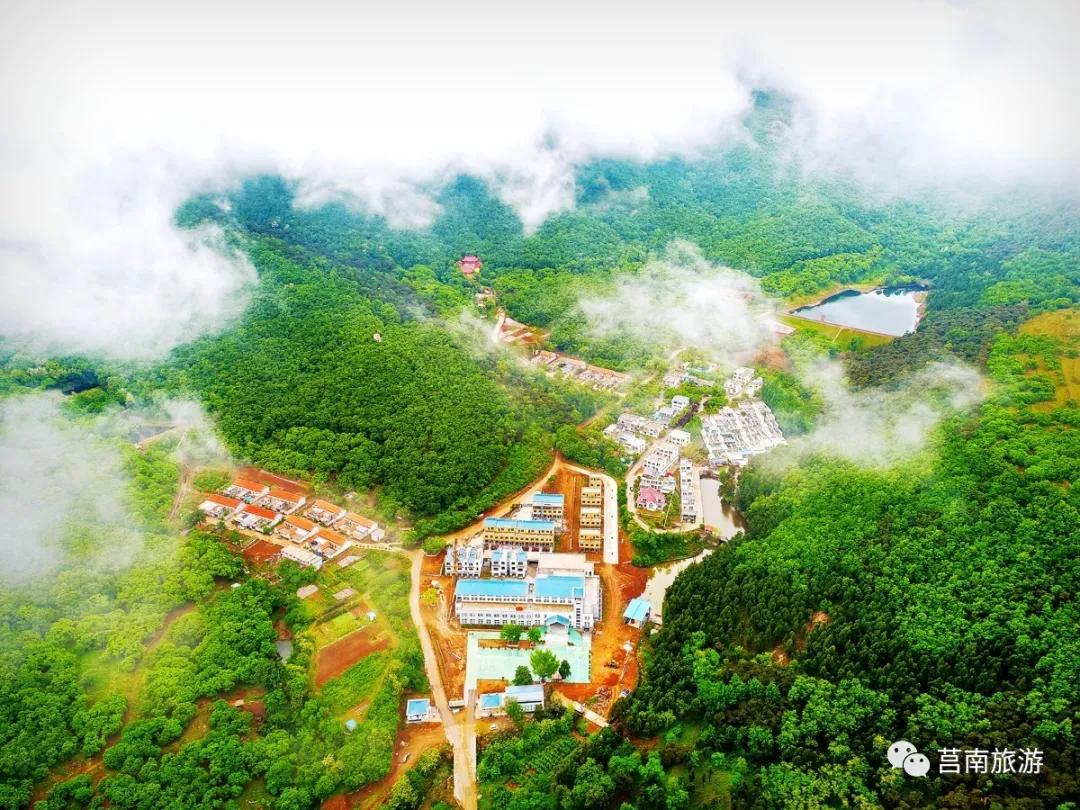 悦享莒南|惊艳了莒南蓝，温暖了遇见