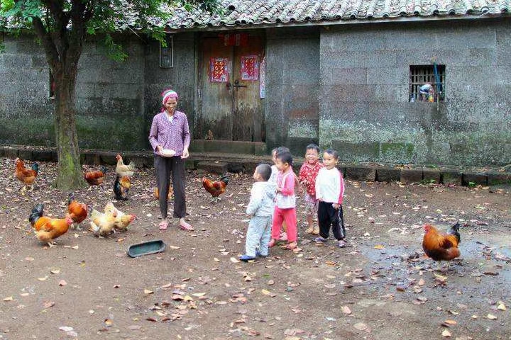 乡土散文我小时候,涂阳斌的乡土散文