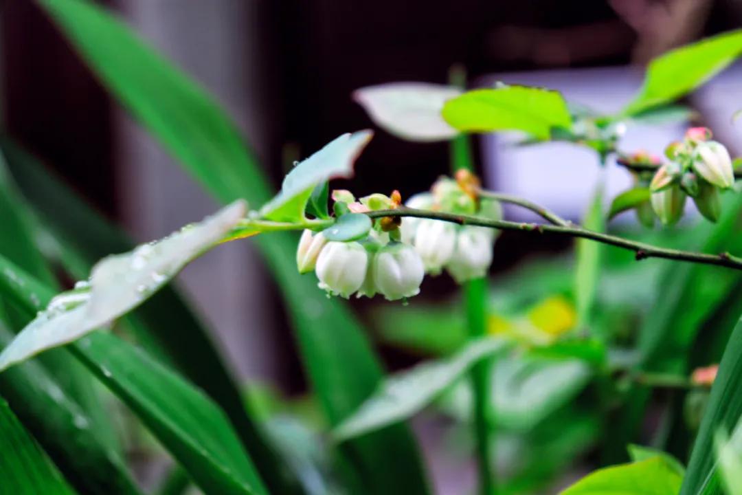 诗词里的惬意生活,描写慢生活心境的古诗词