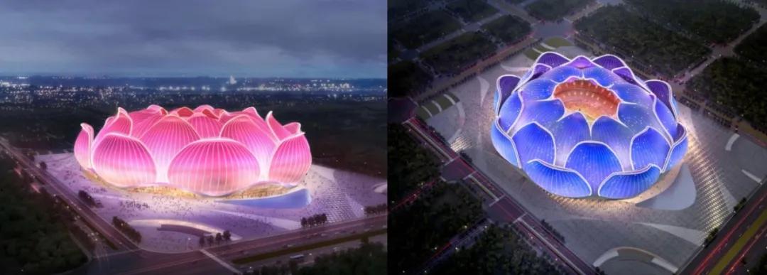 恒大红荷花图片,广州恒大荷花球场最新消息