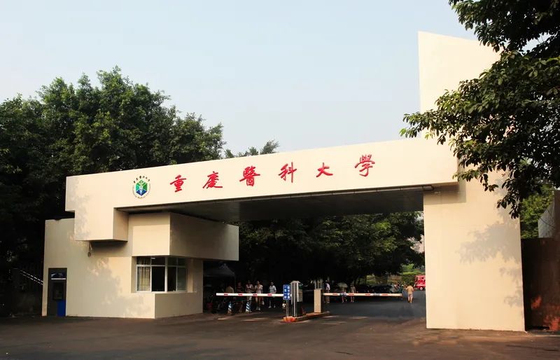 在别的城市上大学真的好吗,去哪个城市上大学最舒服