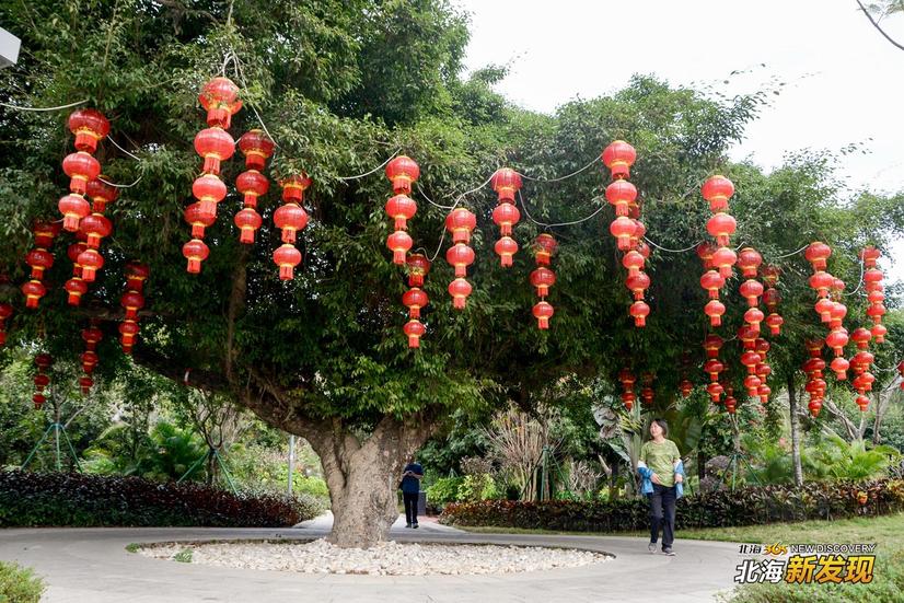 【北海新发现NO72】全城飘红，北海的年味一直都在