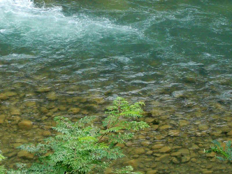 盘车冲钓赤尾,盘车冲钓青尾鲴