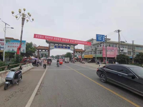 河南邓州惊现飞虫集聚，被传为“涨水蛾”，它们的出现意味什么？