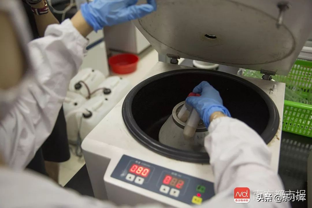 无糖奶茶的含糖量,无糖奶茶含糖量高吗