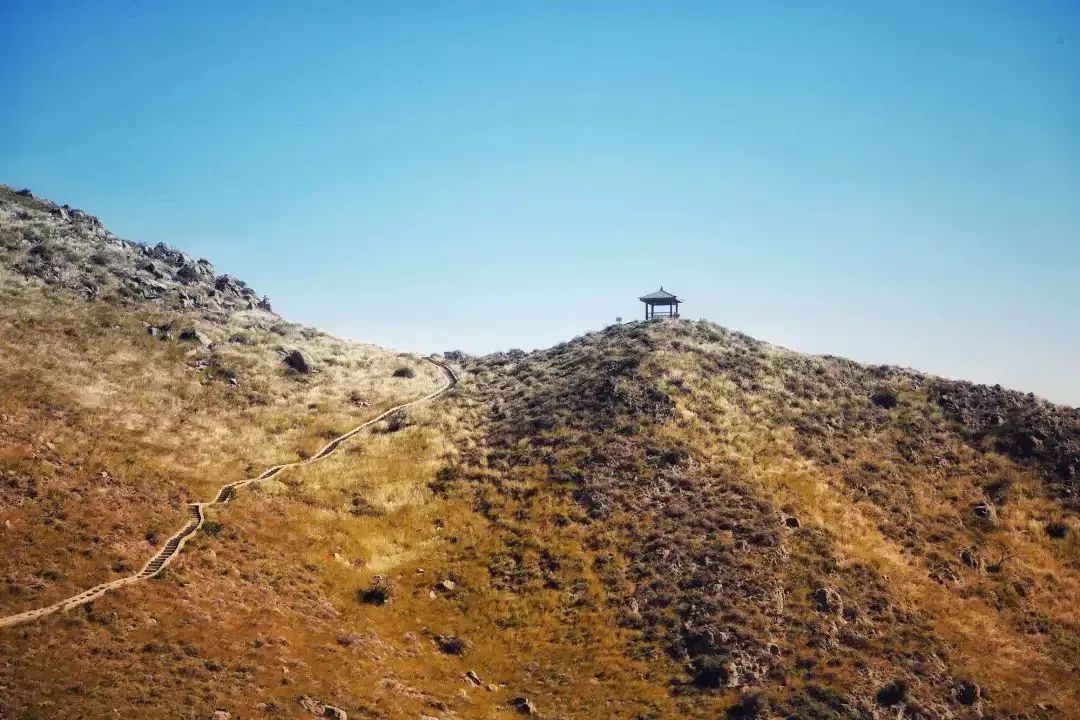 宁夏最低调城市,宁夏是一个非常美丽的地方