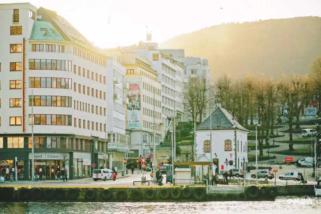 为了吃最贵的鱼你们会驱车多远,世界上最难吃的鱼青花鱼