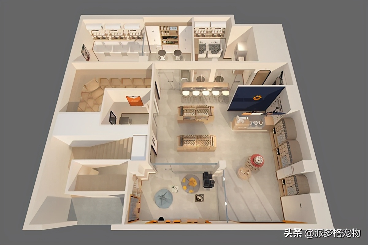 珠海斗门派多格宠物,派多格宠物珠海综合体