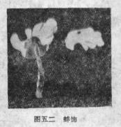 太原娄睿墓预约攻略,太原北齐徐显秀墓发掘简报