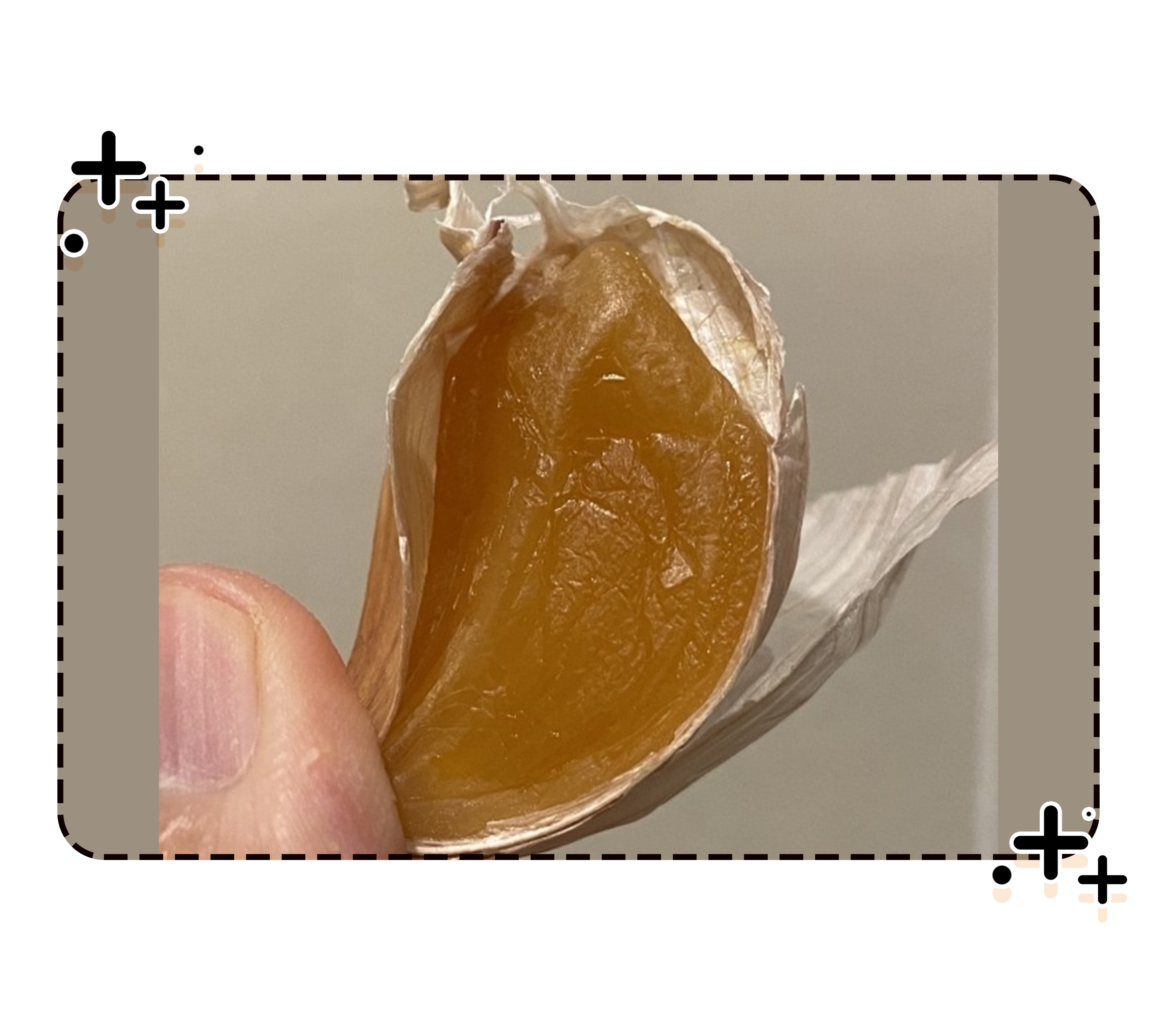 当一颗大蒜被黑了之后，吃货们发现了它的隐藏能力（菲李漫画）