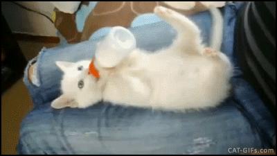 怎么选择合适的奶瓶,最受妈妈们欢迎的5种奶瓶