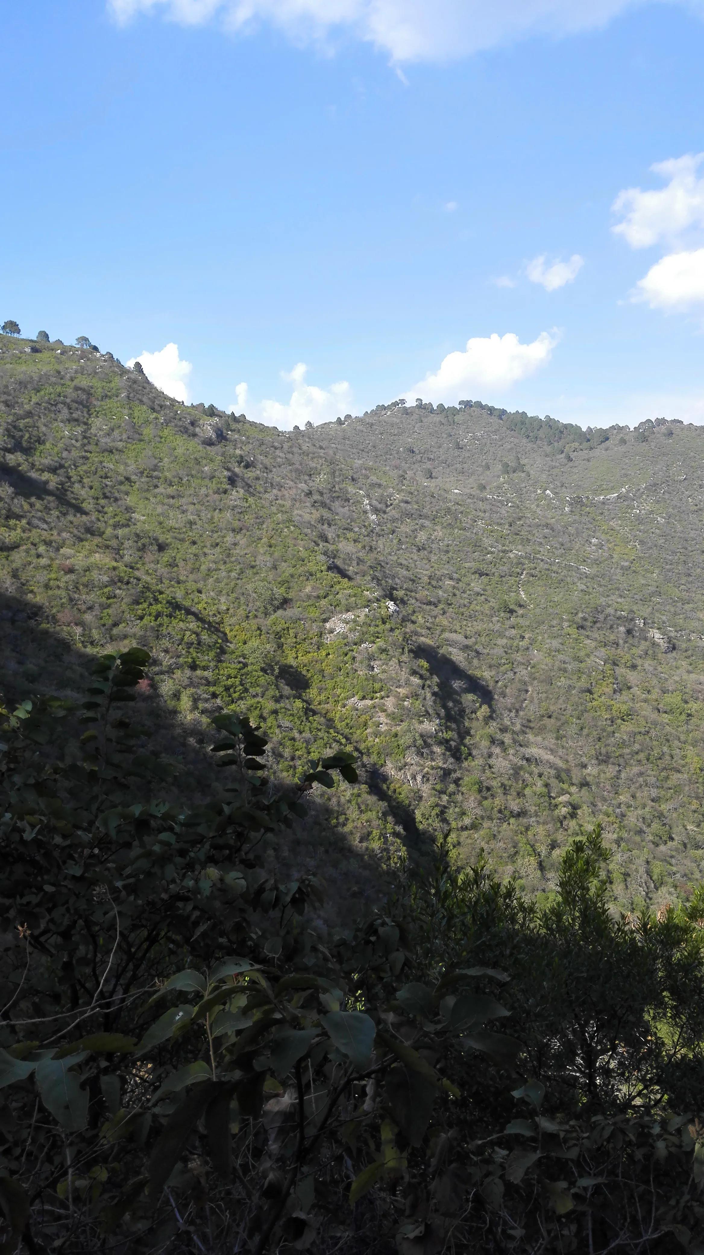 巴基斯坦女人嫁到中国,巴基斯坦的女人的地位