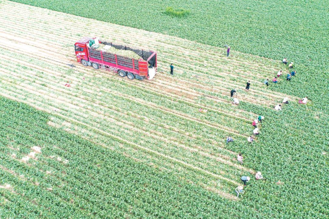 忻州聚焦三大任务三农工作,忻州三农重点工作